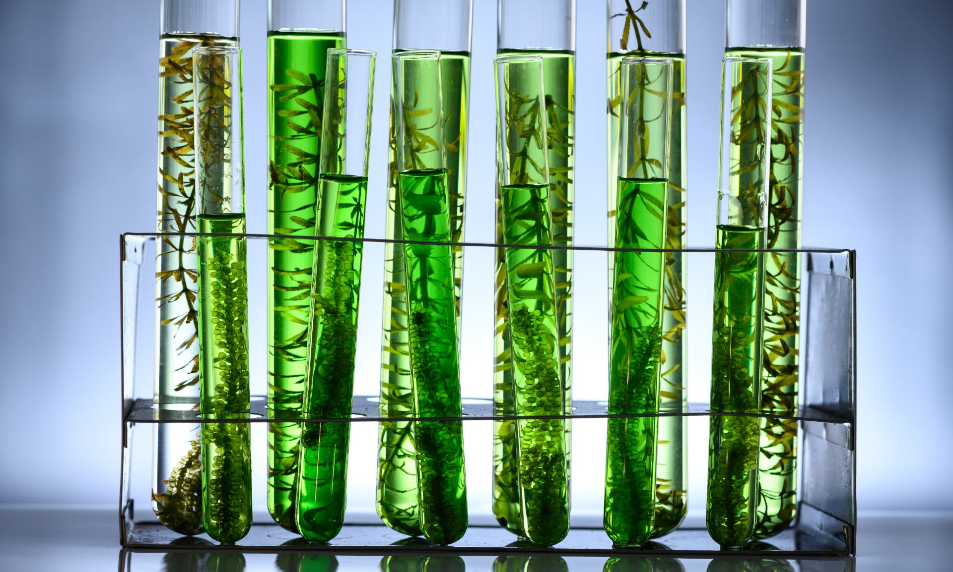 Biotecnologie: il futuro della scienza e le nuove opportunità lavorative