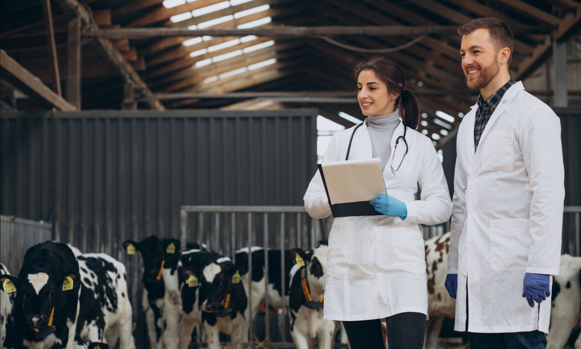 Professione del mese: Veterinari